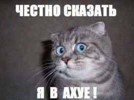 Даже не слышал про такую выставку.