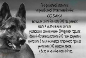 Спасительный мешок овсянки