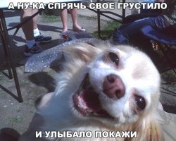 Позитивные фотографии
