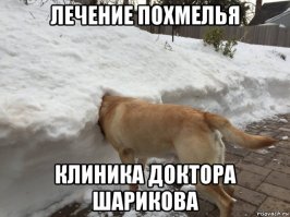 Фотоподборка за 14.02.2017