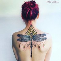 прешь даму раком а у нее на спине такое.х.з.,по моему не айс.