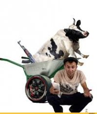 12 снимков, вызывающих недоумение и смех