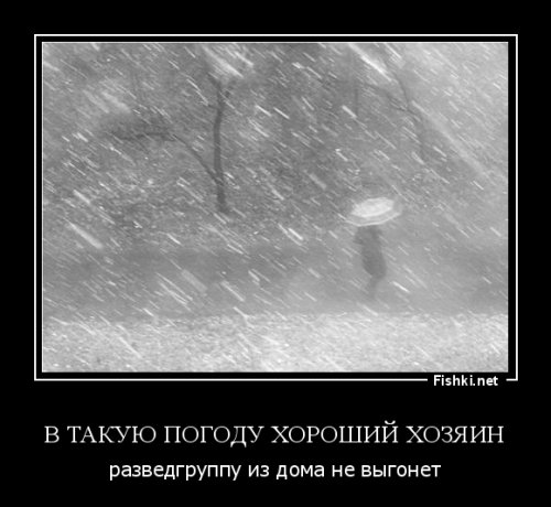 Политические комментарии и картинки из соц. сетей ORIGINAL*  13/02/2017