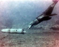 Кроме дельфинов используют котиков.
Ниже ещё добавил часть боевой экипировки. Насчет второй фотки не уверен