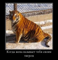  Подборка демотиваторов, которые поднимут вам настроение