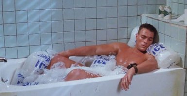 Универсальная собака :)