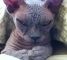 Я красивая...???