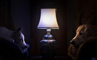 3.14здато пообщались