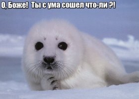  Не подсматривай, иначе увидишь то, что приведет к разводу