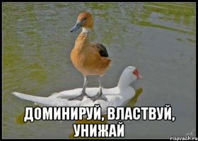 Очень приятно, Трамп: дерзкие рукопожатия 45-го президента Соединённых Штатов Америки