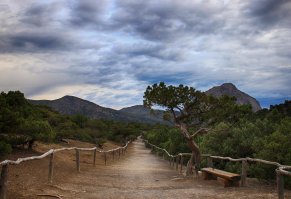 Скажите где это в Крыму, хочу туда.

Источник:  © Fishki.net