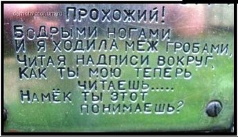 Самые необычные экспонаты одного из самых жизнерадостных музейных пространств Вены — Музея похорон
