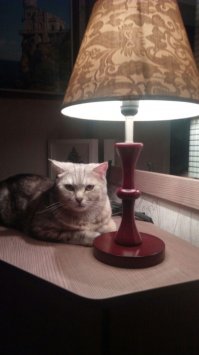 СМС-ка из будущего