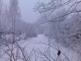 А вот в СПб.
