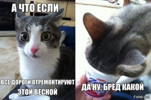 Мэр Бийска предложила недовольным уборкой снега переехать из города