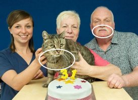 ... кот реинкарнировался в мужика и забыл умереть?