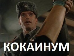 Катапульта на стене и ещё 5 эффективных способов доставлять товар из Мексики в США