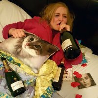 Настолько независима, что даже живого кота нет........