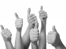 Кот, который действительно наслаждается мытьем окон