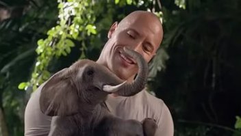 Это просто слоны такие особенные ;)