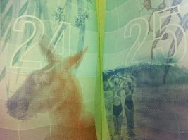 Пост про обложки паспортов. 
Колес у машин может быть и 3, и 4, и 6. Двигатели от маленьких до огромных. Количество сидений - масса вариантов.

Про развороты паспортов в одном посте не уложишься. Например, паспорт Австралии