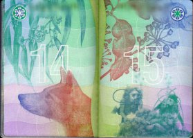 Пост про обложки паспортов. 
Колес у машин может быть и 3, и 4, и 6. Двигатели от маленьких до огромных. Количество сидений - масса вариантов.

Про развороты паспортов в одном посте не уложишься. Например, паспорт Австралии