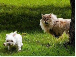 Фотоподборка за 16.02.2017