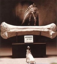 Фотоподборка за 16.02.2017