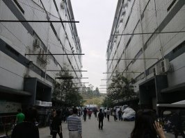 Может не в тему но напомнило: Антисуицидальные сетки на зданиях Foxconn
Независимое расследование показало, что на китайских заводах Foxconn, производящих устройства для компании Apple, существуют "серьезные недостатки" в трудовой практике.

Усталость и скука встречаются на многих заводах, а один из них, например, обнесен специальной сеткой для предотвращения самоубийств.