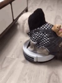 На этой гифки после того когда кот врезается в кровать должен был играть имперский марш)))