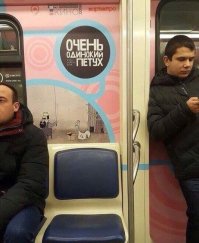 Поездка в общественном транспорте, которая может привести к повреждениям психики