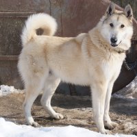 Ну ладно, ставлю тебе лайку