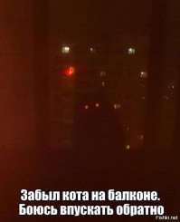 Коварные кошки