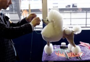 Какая гадость!!!