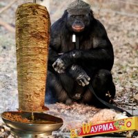 Мануал для тех, кто давно не был на природе