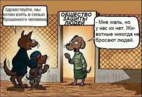 Это не правда, у нас весной кот пошел по бабам и не вернулся ) видели на соседней улице пару раз, так и не поймали )