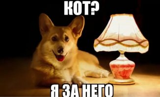 Алименты для чайника