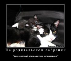 Уж сколько мы ходим по родительским собраниям