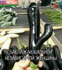 Картофан ни в чем не виноват