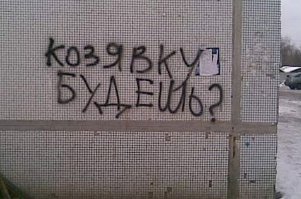 Россия. Коньково