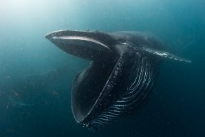 Вот это hleedalo!