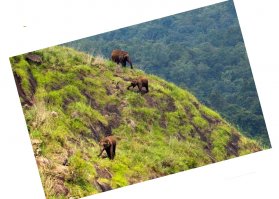 Горизонт завален