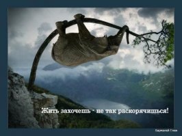 Индийские слоны не ищут легких путей!