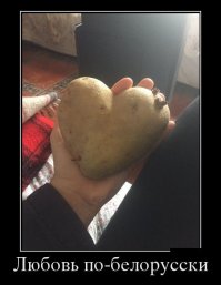 Картофан ни в чем не виноват