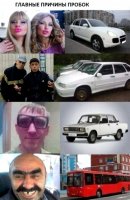 Свежая подборка автоприколов