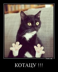 На мой взгляд кретинизм