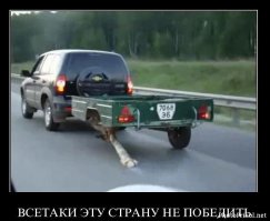 Все проблемы решаемы