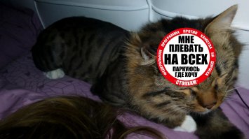 Я те чуть подредактировал, но в тапки всё таки тебе наделает )))))