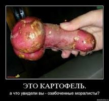Картофан ни в чем не виноват