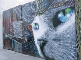 Сан Франциско, США